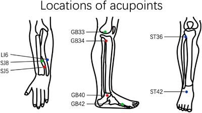 Frontiers | Acupuncture Modulation Effect On Pain Processing Patterns ...